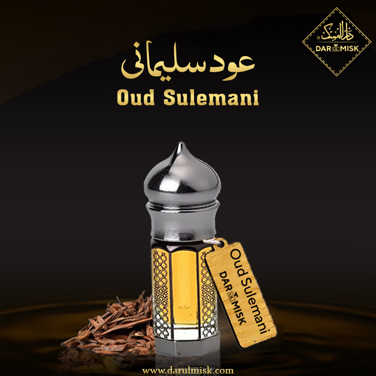Oud Sulemani (Exclusive)